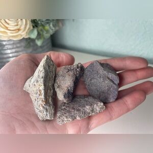 🦖 Dinosaur Bones Fossils 120g Total 4 pieces dino